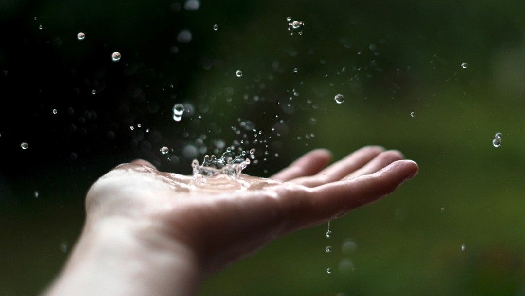Foto von einem Wassersprenkler im Garten